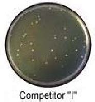 Life Technologies India -- Life Tech India