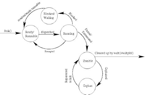 Orphan Process Example 的图像结果