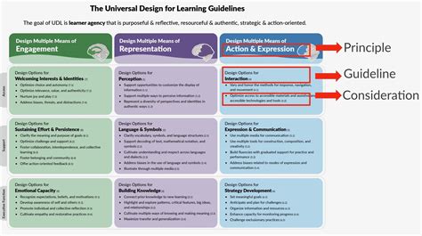 Image result for UDL Principles