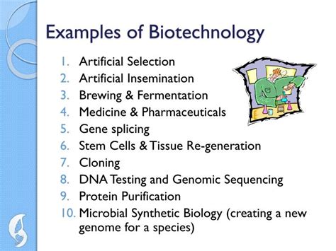Example of a Biotechnology Process 的图像结果