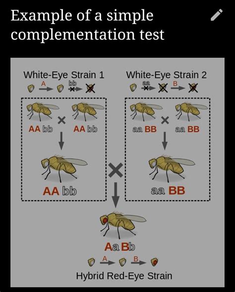 A sequence of DNA specifying a single genetic function as defined by ...