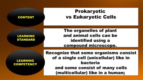 Q2-SCIENCE 7-LC3-EUKARYOTE VS. PROKARYOTE.pptx