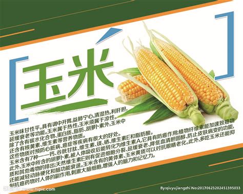 万盛70玉米品种介绍 - 七彩三农