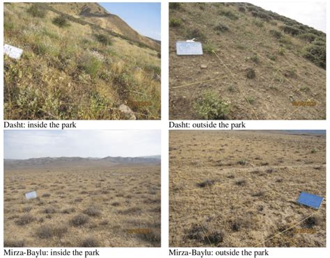 Image result for Vegetations Field Study Examples