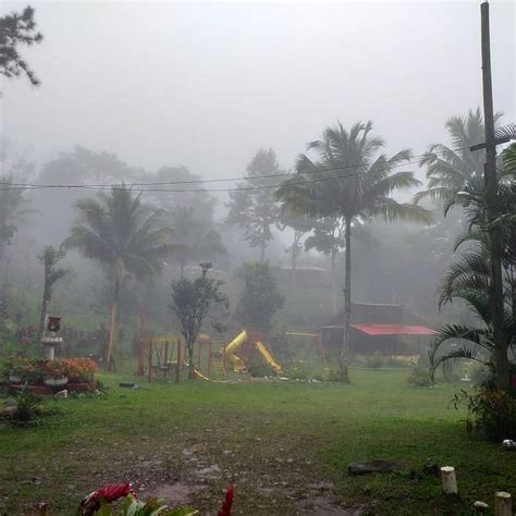 THE NEST RAINFOREST RETREAT (Cerro Azul) - Hostel Reviews & Photos ...