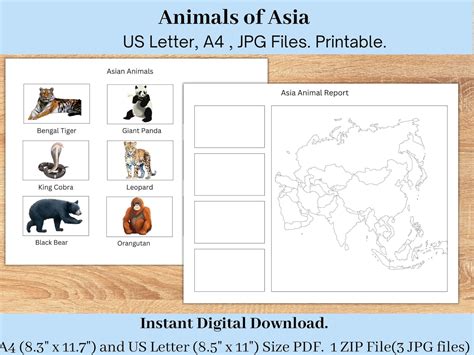 Asia Animal Report, Geography Printable for Toddlers Pre-k, Geography ...