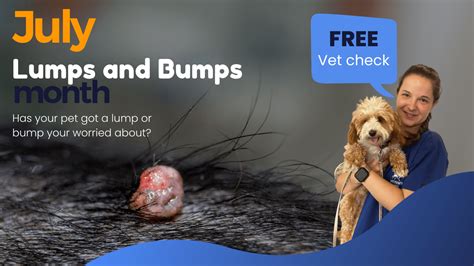 Dogs Lumps & Bumps Guide - Warren House Veterinary Centre