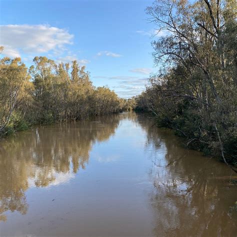 GOULBURN SUSPENSION BRIDGE (2024) All You Need to Know BEFORE You Go ...