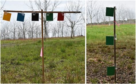 Effects of Trap Color and Placement Height on the Capture of Ambrosia ...