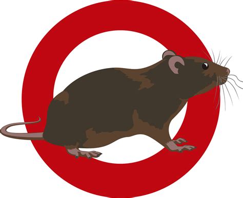 Cheap Decon Rat Poison Reviews In 2022 - Best Rat Poisons