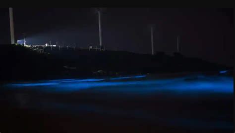 What Is The Beautiful 'Blue Tide' Spotted Along Juhu, Ratnagiri Beaches ...