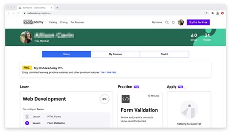 Image result for Codecademy Basic Reviews