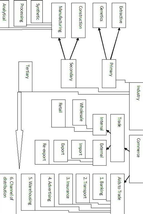 classify human activities - Brainly.in