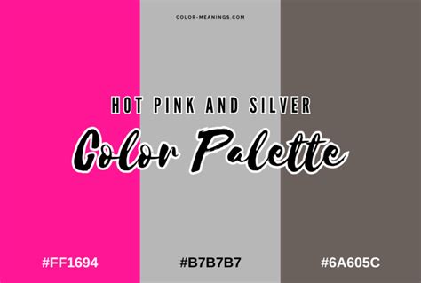 Silver Color Partner 的图像结果