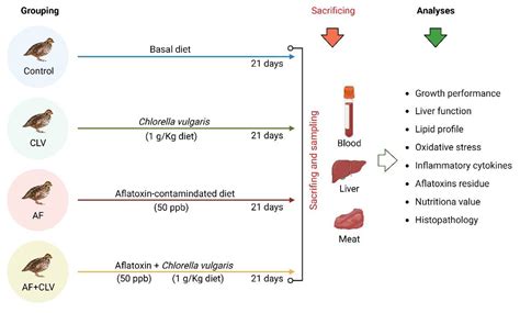 The Preferential Therapeutic Potential of Chlorella vulgaris against ...