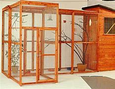 Image result for Cool Bird Aviary for Back Yard
