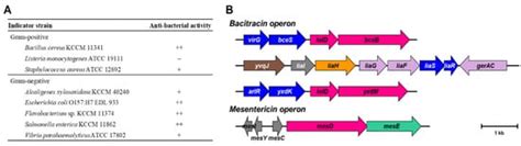 Functional Genomic Insights into Probiotic Bacillus siamensis Strain ...