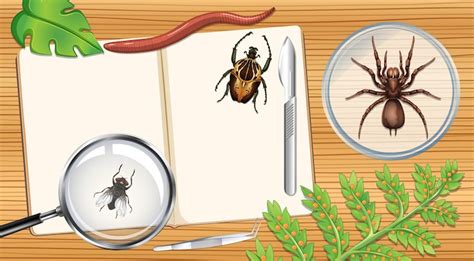 Forensic entomological research Vectors - Download Free High-Quality ...