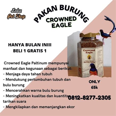 manfaat voer ayam untuk murai batu