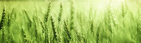 Key changes in ISO 22000:2018 vs ISO 22000:2005