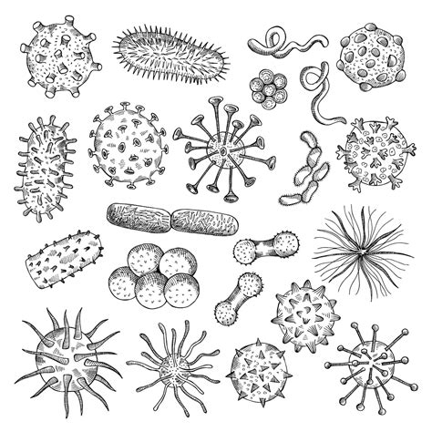 Premium Vector | Bacteria sketch drawing viruses biological closeup ...