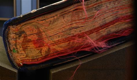 Image result for Codex Form