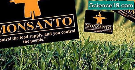 Genetic Modification Variation Definition 的图像结果