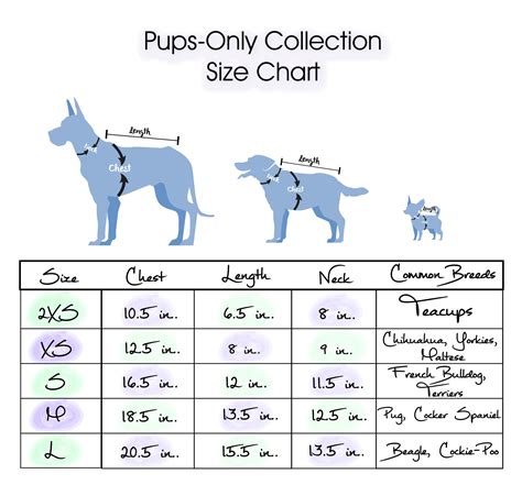 How To Measure A Dog For Size at Ruthie Jackson blog
