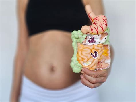 Image result for Signs of Digestive Problems