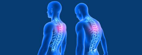 Image result for Musculation Du Cou Exercice