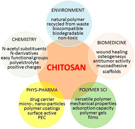 “The Good, the Bad and the Ugly” of Chitosans