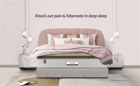 Amore Hybrid 8 Inch Eurotop Memory Foam,H R Foam & Pocket Spring ...