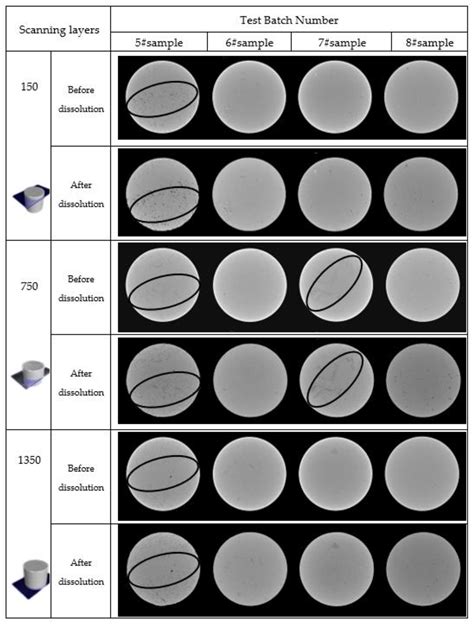 Experimental Study on the Dissolution Characteristics and ...
