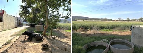 Ecologies of Obfuscation: What's Happening to the Aravalli Hills? - The ...