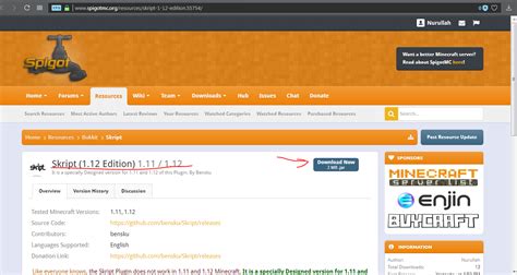 Image result for +How to Add Skript to Aternos Server Java
