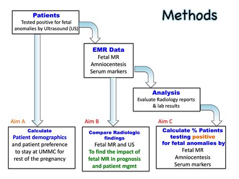 Capstone Project Biotech 的图像结果