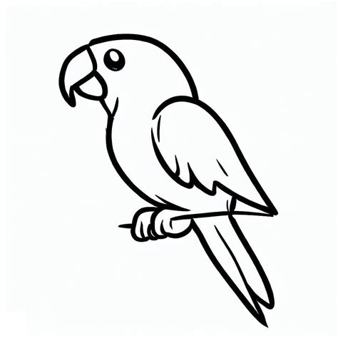 Image result for Parrot Coloring Pages