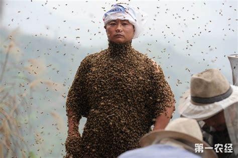 养蜂人故事 - 知花蜂蜜-中国蜂蜜行业门户网站-www.zhfengmi.com-栏目