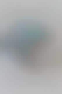 Microplastic Photo Series : Sweet Sneak Studio