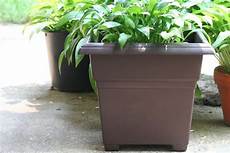 vasi per piante da esterno prezzi vasi da giardino in plastica terminali antivento per vasi per piante da esterno prezzi vasi da giardino in plastica terminali antivento per