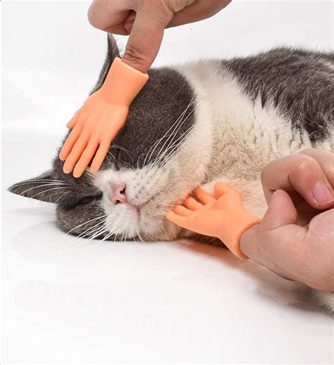 Buy Aomomy Cat Cute Mini Hands Touch Cheek Brushes Finger Toys 1 pairs ...