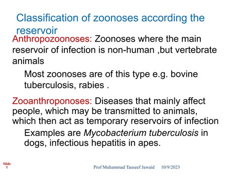 Zoonotic Diseases | PPT - classification of zoonotic diseases