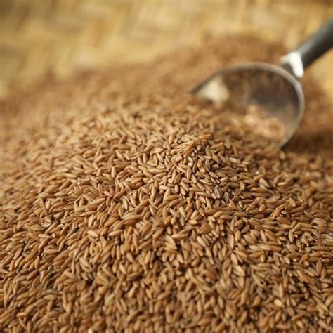 Bamboo Rice - 500 Grams – Delta Foods Thanjavur