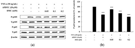 7,8-dimethoxycoumarin Attenuates the Expression of IL-6, IL-8, and CCL2 ...