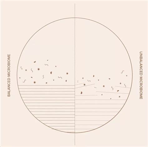 Everything You Need to Know About the Skin Microbiome – INJA Wellness