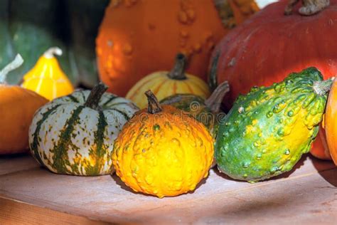 Life Insurance Types 的图像结果