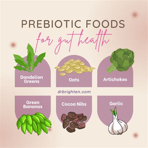 20 Best Prebiotics for Gut Health and Hormonal Balance