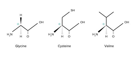 Isomers for the MCAT: Everything You Need to Know — Shemmassian Academic Consulting