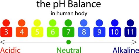 Image result for P.H. Balance