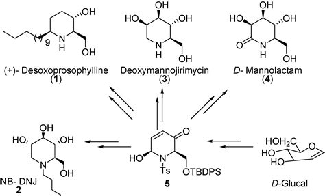 Synthesis of (R)-Dihydropyridones as Key Intermediates for an Efficient ...